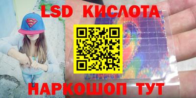 винт Славгород